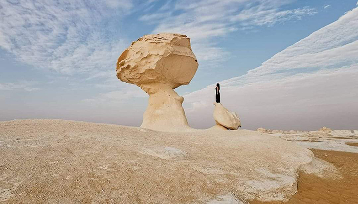 2 Days White Desert and Bahariya Oasis